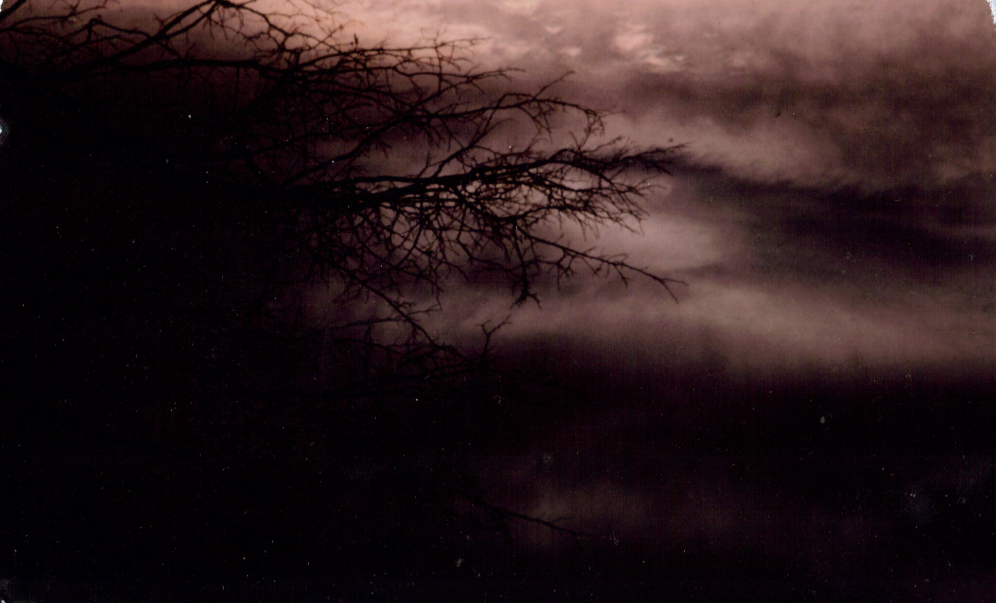 Bare tree branches reaching from the left edge across a dark, storm-filled sky, their fine black twigs silhouetted against heavy purple-tinged clouds. The lower half of the frame sinks into deep shadow. A color print on color paper with no filters—the storm rendered naturally in bruised violet tones.